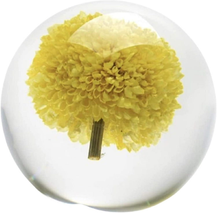 Yellow flower in glass paperweight.
