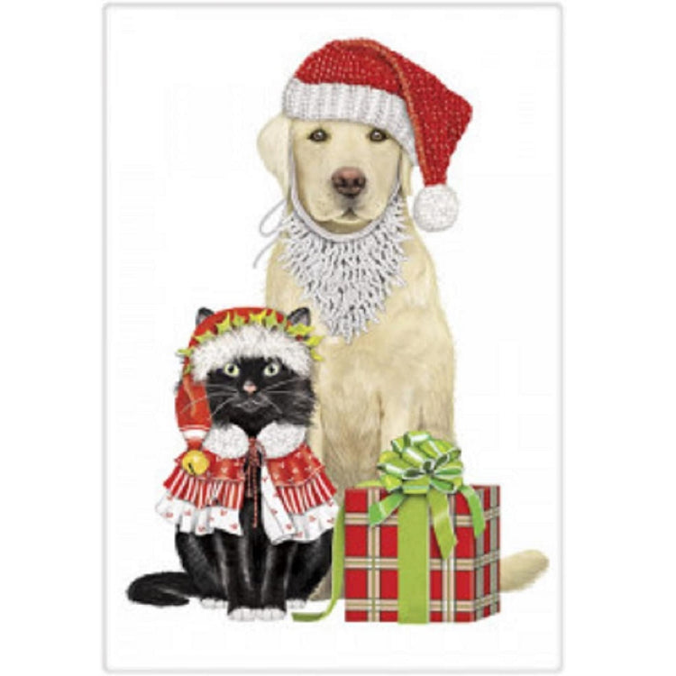 Dog and Cat wearing santa hats sitting beside wrapped gift