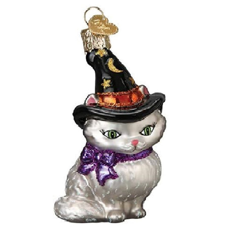 White kitten with a witch hat & purple bow.