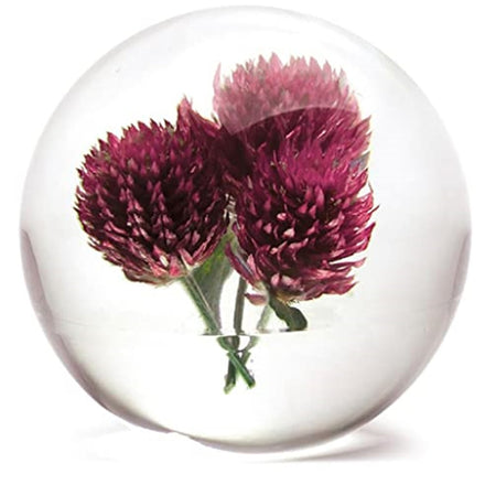 Clear round paperweight with 3 amaranth flowers encased inside.