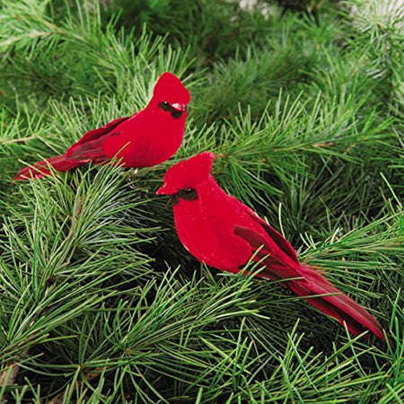 2 red cardinal bird clips on an evergreen branch.