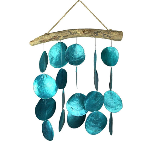 Turquoise blue capiz shell wind chime hanging from natural driftwood
