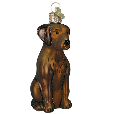 blown glass ornament of a chocolate labrador, sitting down.