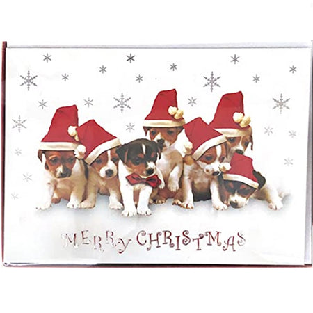 white card with 7 puppies sitting next to each other, each waring red santa hats. Silver snowflakes in the back ground and text "Merry Christmas".