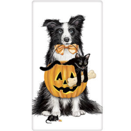 Black and white collie holding jack o lantern treat basket with a black cat inside.