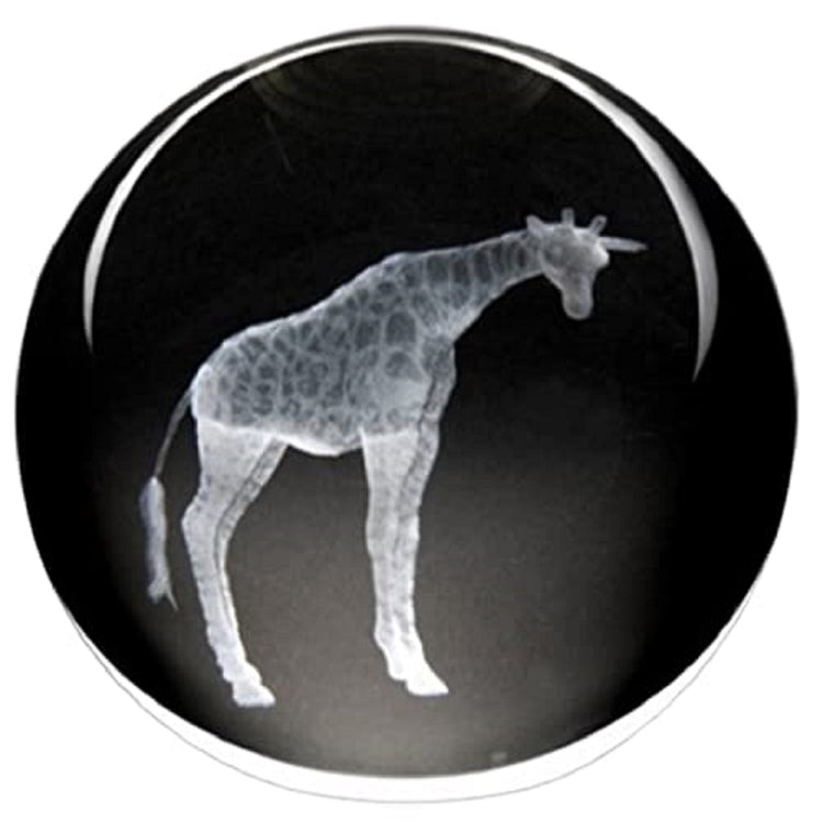 round glass paperweight with the image of a giraffe standing inside.