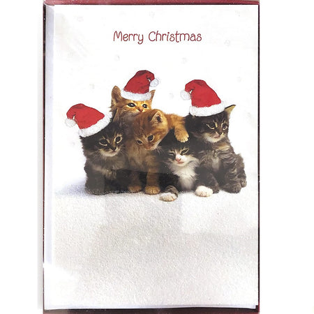 Box of cards with 3 grey and white kittens and 2 tan kittens.  3 of the kittens are wearing Santa hats.  The text says "Merry Christmas".