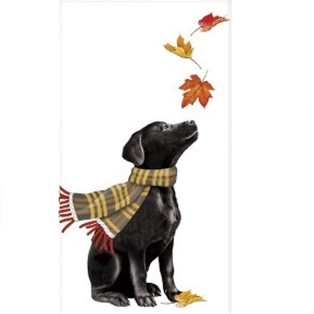White towel with a black lab puppy wearing a brown stripe check scarf looking up at falling fall leaves