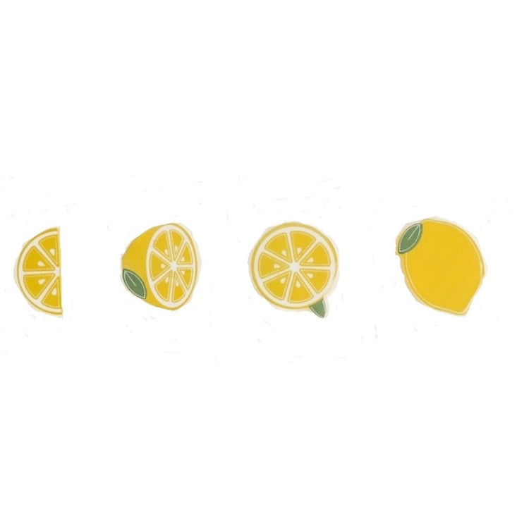 4 lemon magnets. Each different cuts of a lemon.
