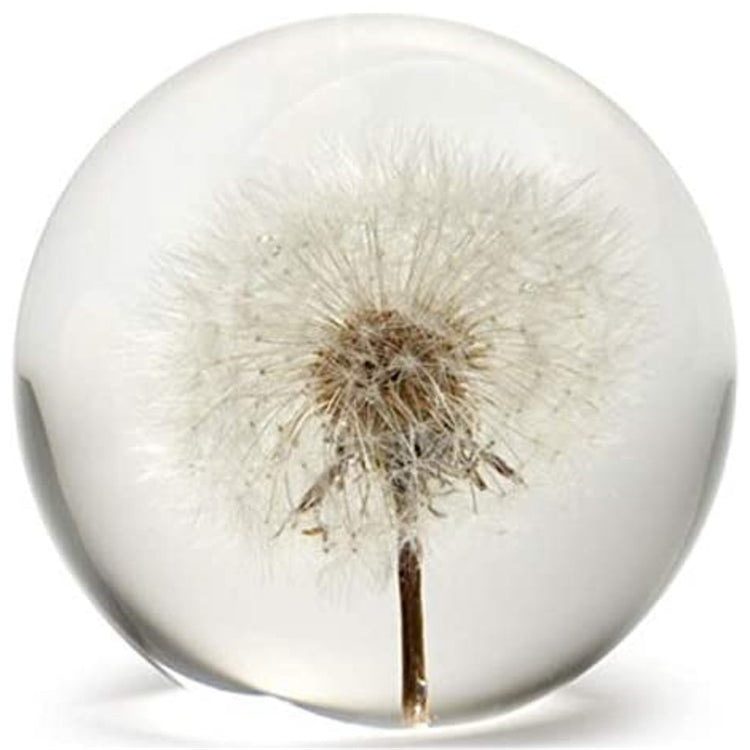 paperweight with a white dandelion on the inside
