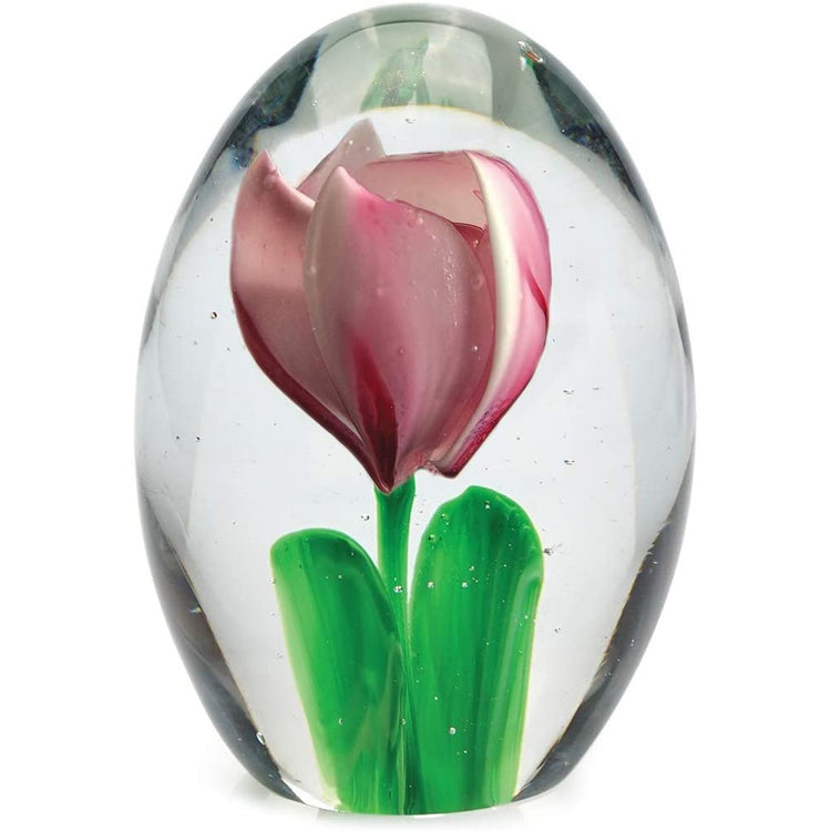 Pink tulip with green leaves in a clear paperweight.
