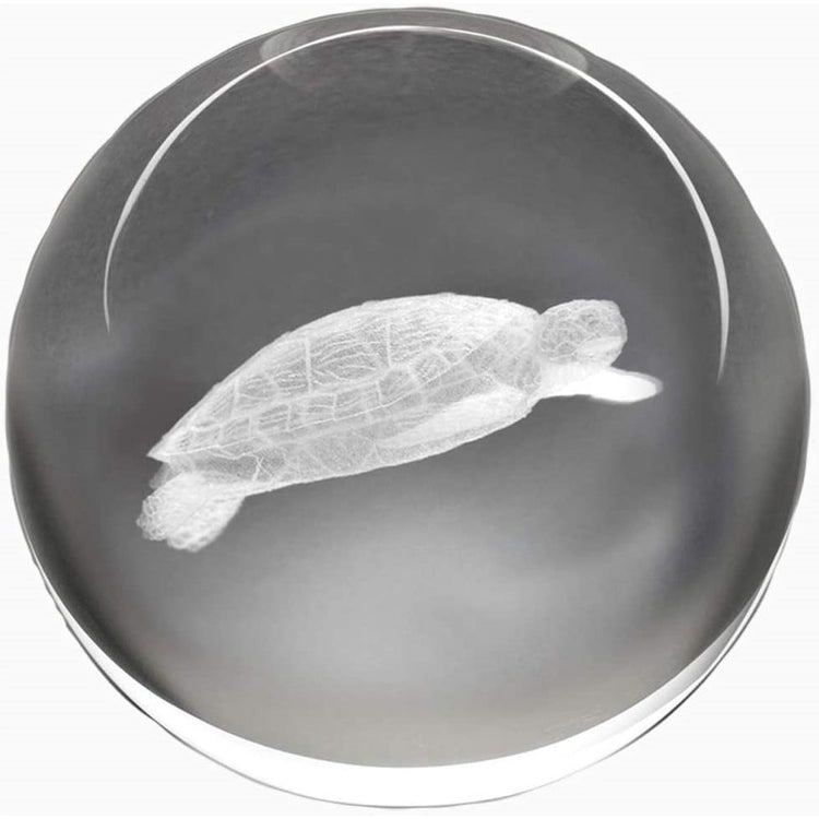 White sea turtle in a grey glass paperweight. 