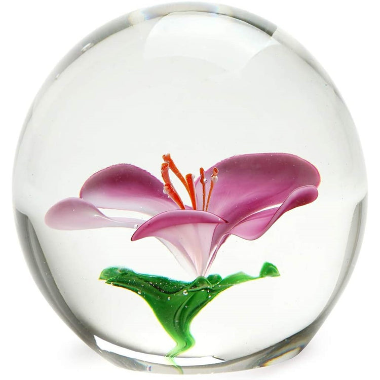 clear weight with pink cherry blossom inside