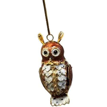 Brown owl with a white chest & gold accents.