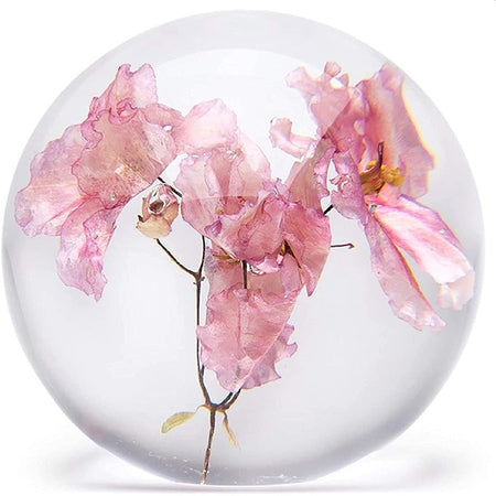 Clear paperweight with a pink violet on the inside. 
