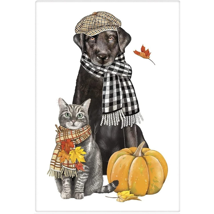 Black lab & grey cat with scarves on & leaves & a pumpkin next to them.