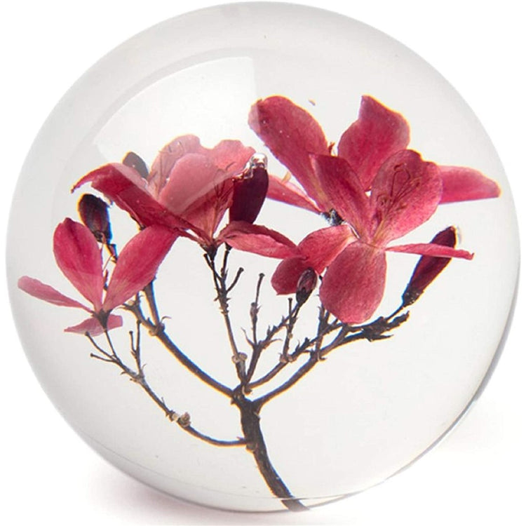Pink crab-apple blossom in a clear ball paperweight.