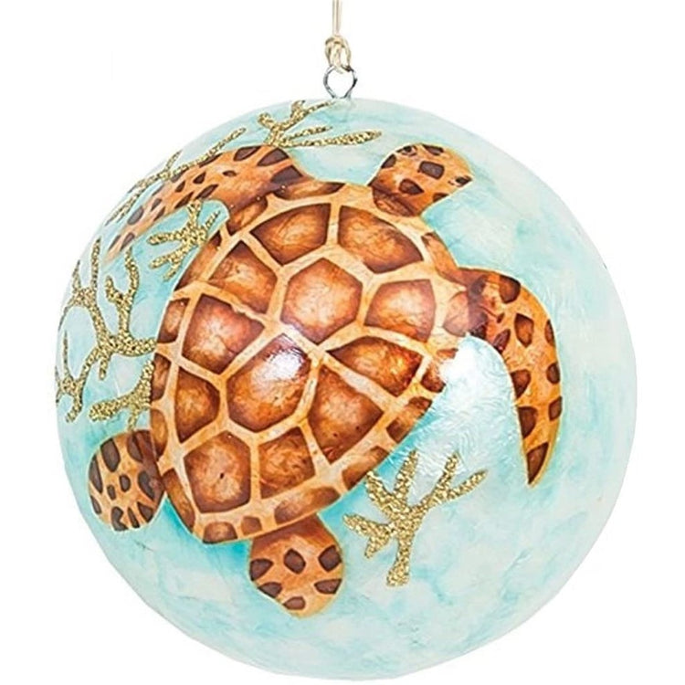light blue ball with a brown & tan turtle