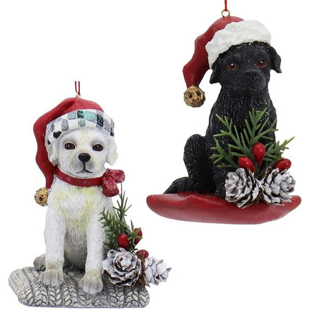 1 white retriever, 1 black retriever puppy with santa hats on. 