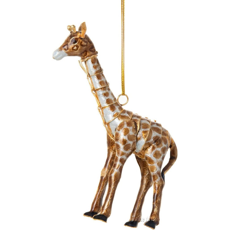 Giraffe with brown spots.