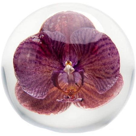 Purple orchid decor under clear glass ball paperweight decor.