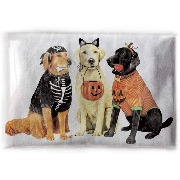 Yellow, white & black labs in Halloween costumes. 