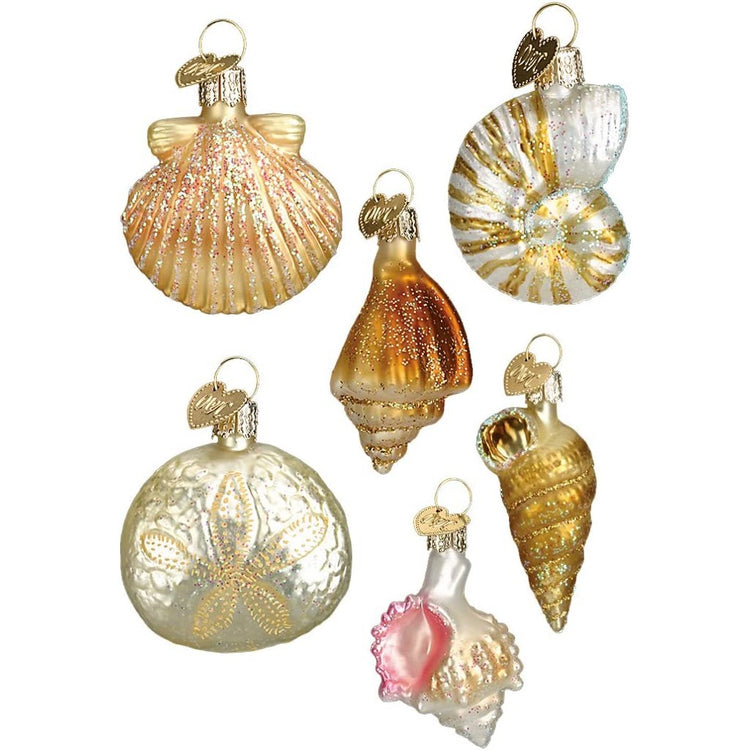 6 assorted sea shell ornaments.