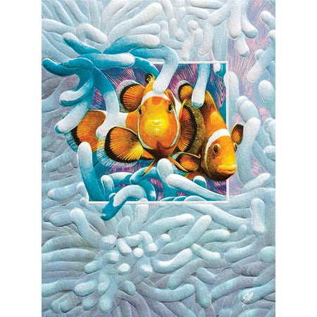 Boxed cards with 2 orange clown fish swimming through sealife.