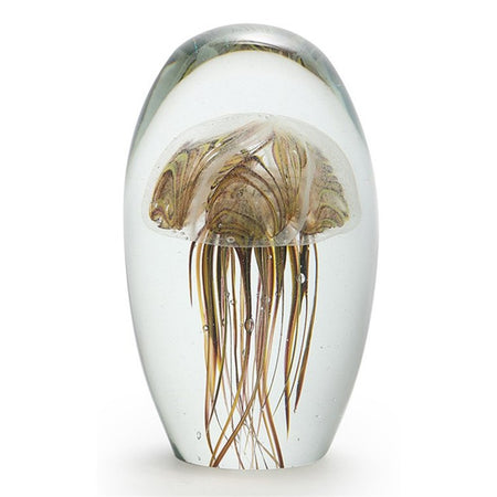 clear light brown jellyfish in a clear glass dome. Body of jellyfish at the top with legs going down.