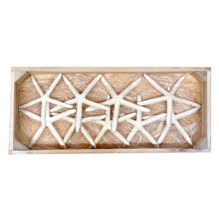 Crate shaped box with white starfish.