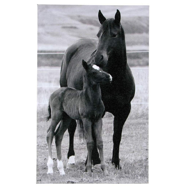 Black & white print shows horse and foal standing in pasture against each other.