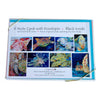  Set of 8 note cards with options of sea life paintings. 